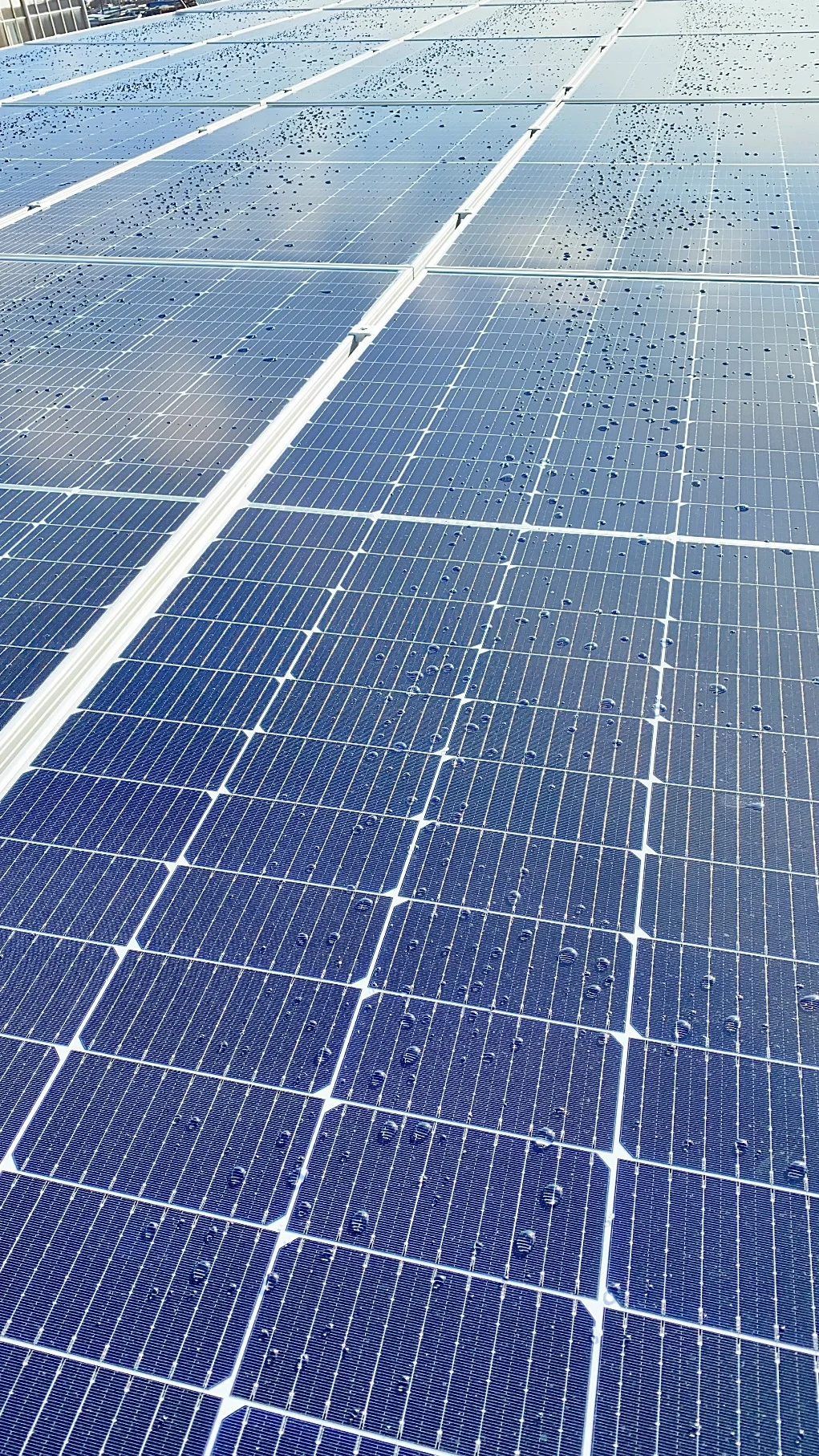 Солнечная электростанция на 120 кВт для сети магазинов «ДоброСтрой»